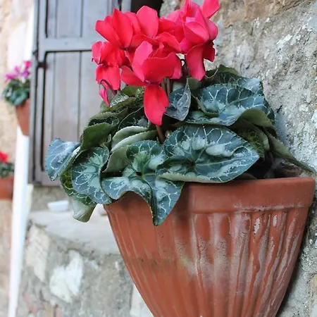 Castello Nagy * Pomarance